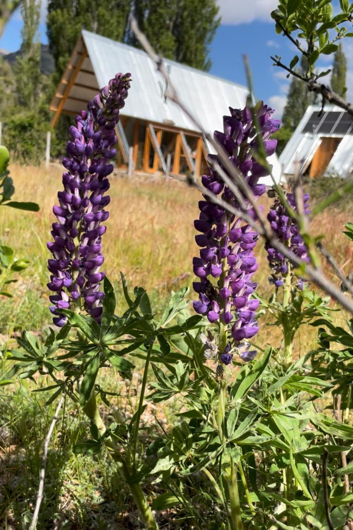 El Diucon Eco Chalet